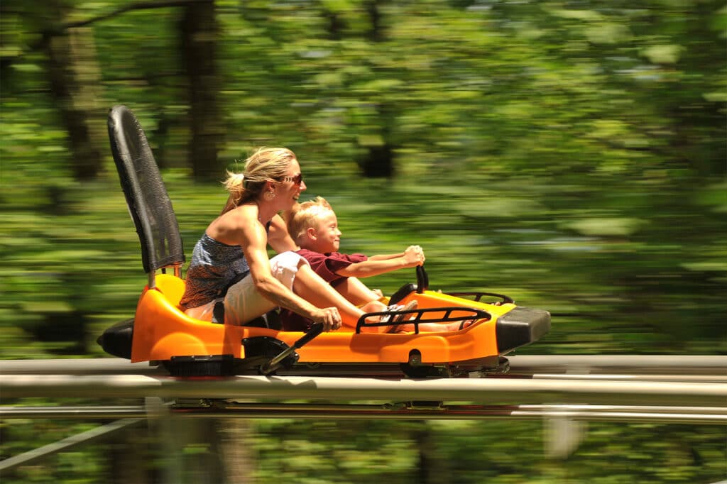 Spirit Mountain Alpine Coaster